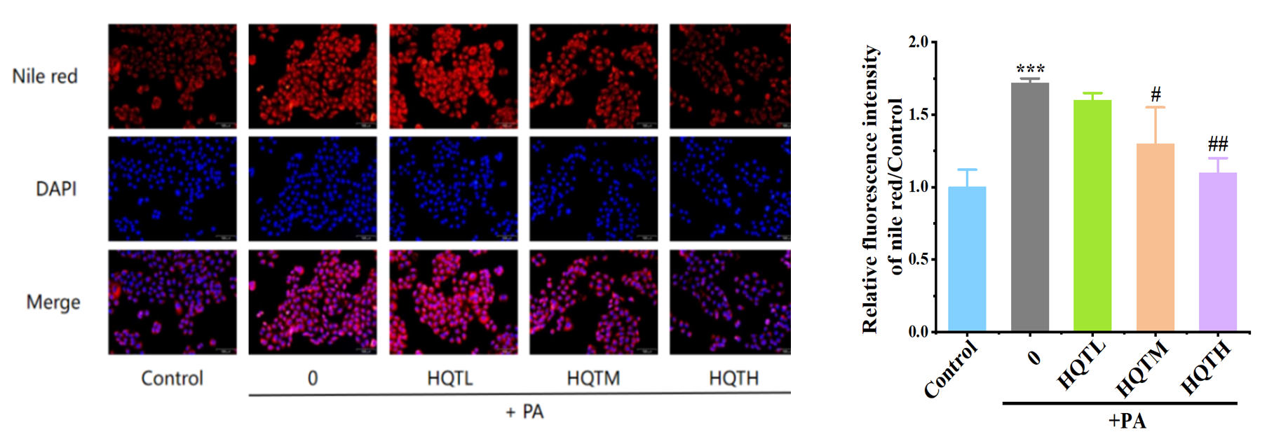 控油,體外功效,皮膚,皮脂
