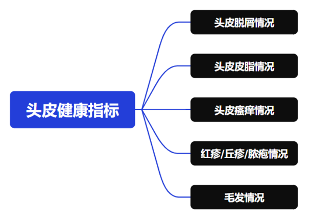 頭皮健康,紅斑,,丘疹,膿皰,評(píng)價(jià)方法