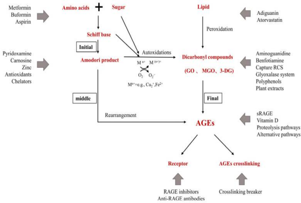 皮膚,抗衰,細胞,功效評估,去皺,抗初老,緊致