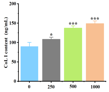 體外細胞培養,模型,化妝品抗衰,功效評價