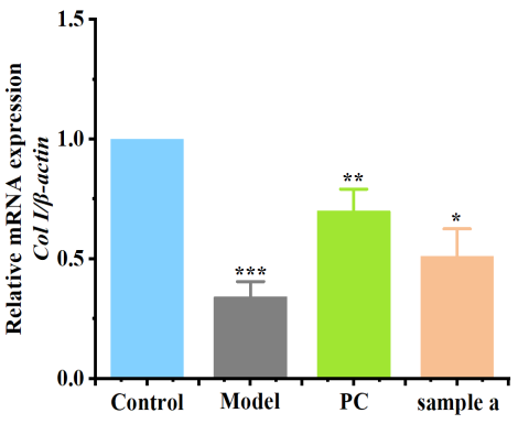體外細胞培養,模型,化妝品抗衰,功效評價