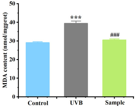 體外細胞培養,模型,化妝品抗衰,功效評價