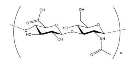 化妝,抗皺,活性物質,皺紋,玻尿酸,視黃醇