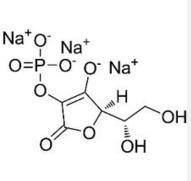 化妝,抗皺,活性物質,皺紋,玻尿酸,視黃醇