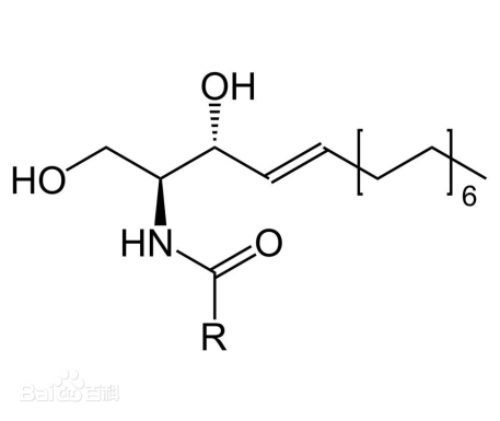 化妝,抗皺,活性物質,皺紋,玻尿酸,視黃醇
